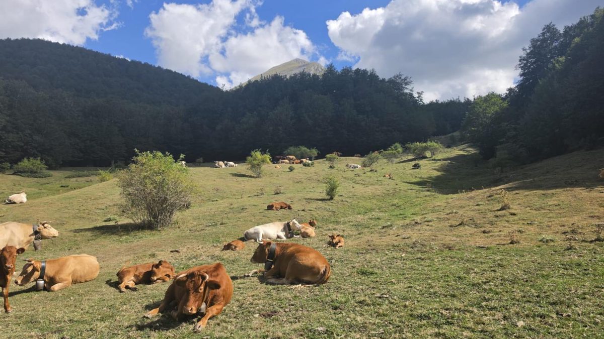 Immagine dell'escursione Serra di Crispo 2026